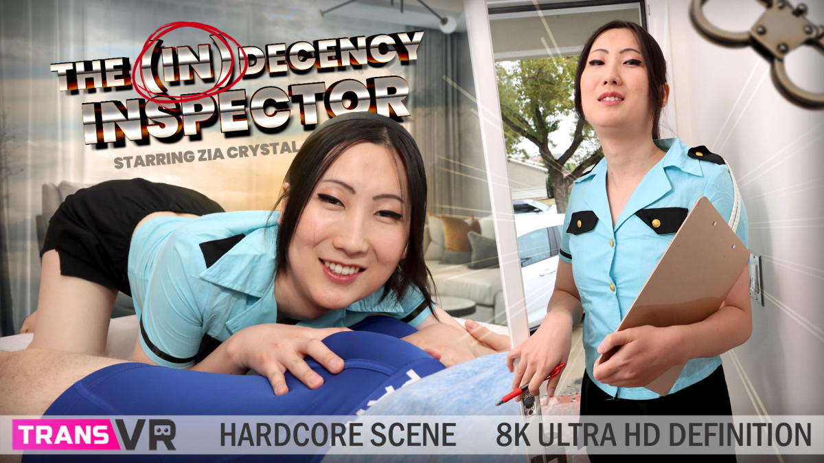 The (In)Decency Inspector!